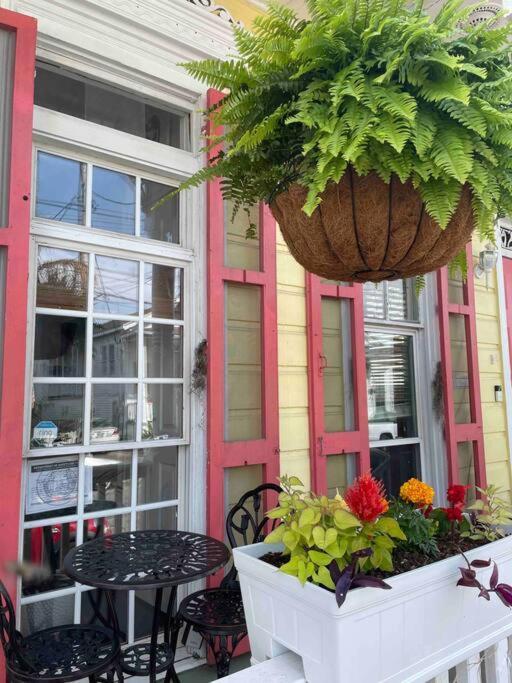 ניו אורלינס Historic Victorian Studio Near City Park Noma Bayou St John מראה חיצוני תמונה