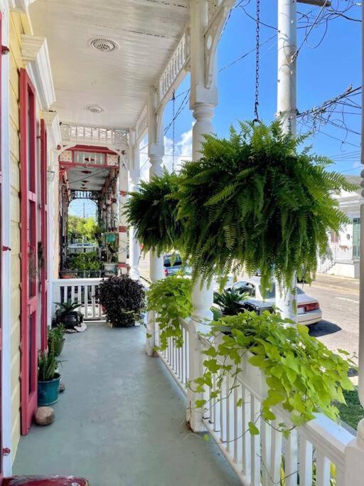 ניו אורלינס Historic Victorian Studio Near City Park Noma Bayou St John מראה חיצוני תמונה